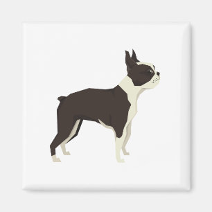 Íman Terrier de Boston