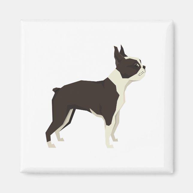 Íman Terrier de Boston (Frente)