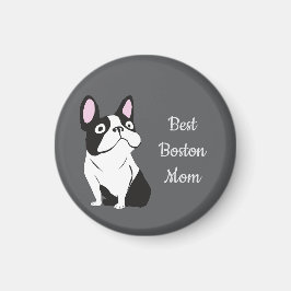 Íman Terrier de Boston