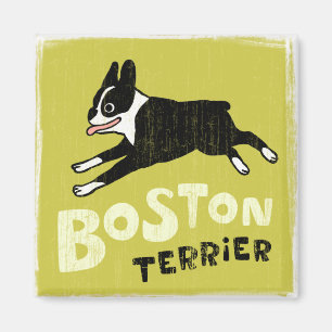 Íman Terrier de Boston