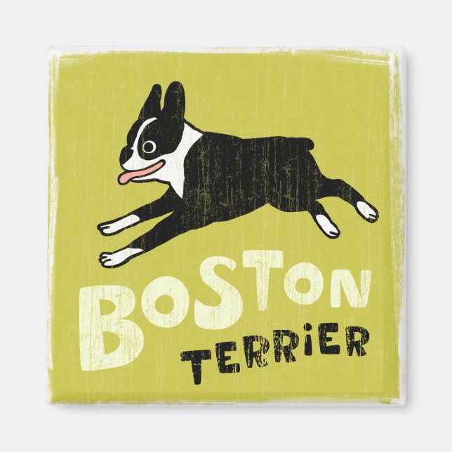 Íman Terrier de Boston (Frente)