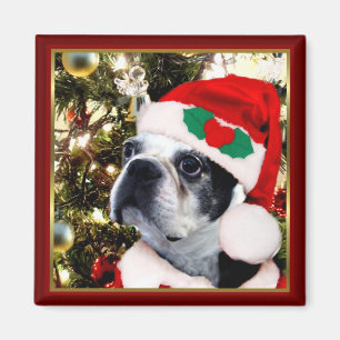 Íman Terrier de Boston do Natal