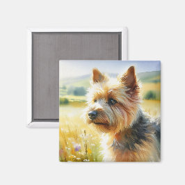 Íman Terrier de Norwich
