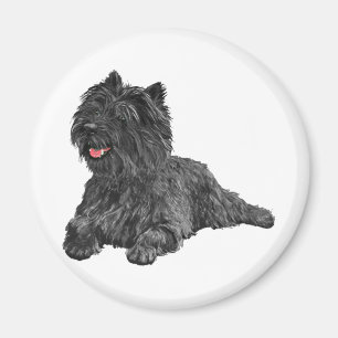 Íman Terrier do Cairn Negro