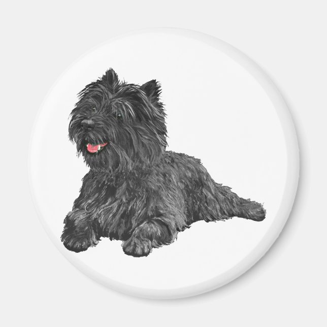 Íman Terrier do Cairn Negro (Frente)