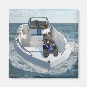 Íman Terrier Escocês no Barco
