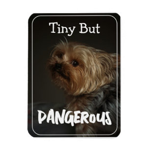Íman Terrier Mãe de Cachorro Personalizada Fofa Pet