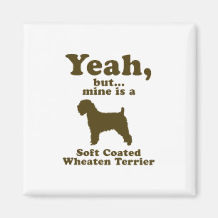 Íman Terrier Wheaten brandamente revestido