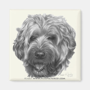 Íman Terrier Wheaten Macio-Revestido