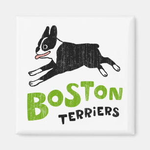 Íman Terriers de Boston