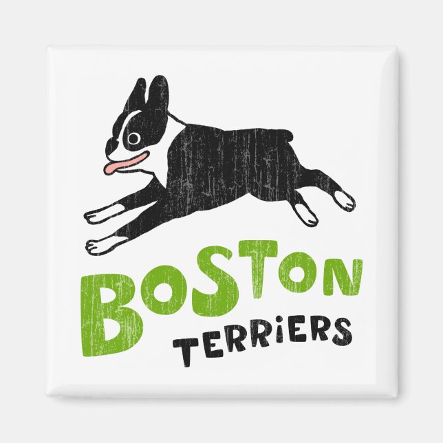 Íman Terriers de Boston (Frente)