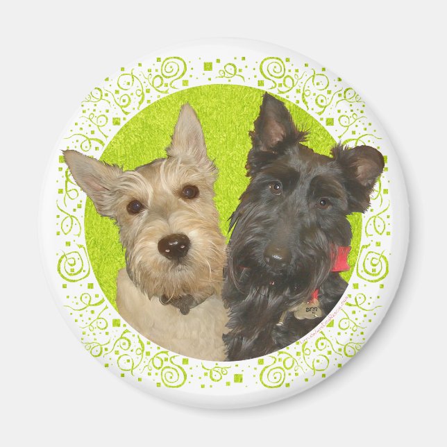 Íman Terriers Escoceses Trigo e Preto (Frente)