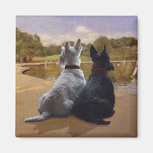 Íman Terriers Escoceses Trigo e Preto (Frente)