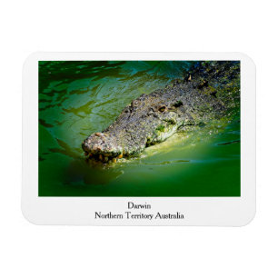 Íman Território Norte Darwin - Magnet Crocodilo