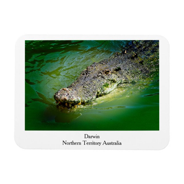 Íman Território Norte Darwin - Magnet Crocodilo (Horizontal)
