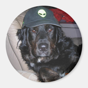 ÍMAN TESLA O CÃO ESTRANGEIRO