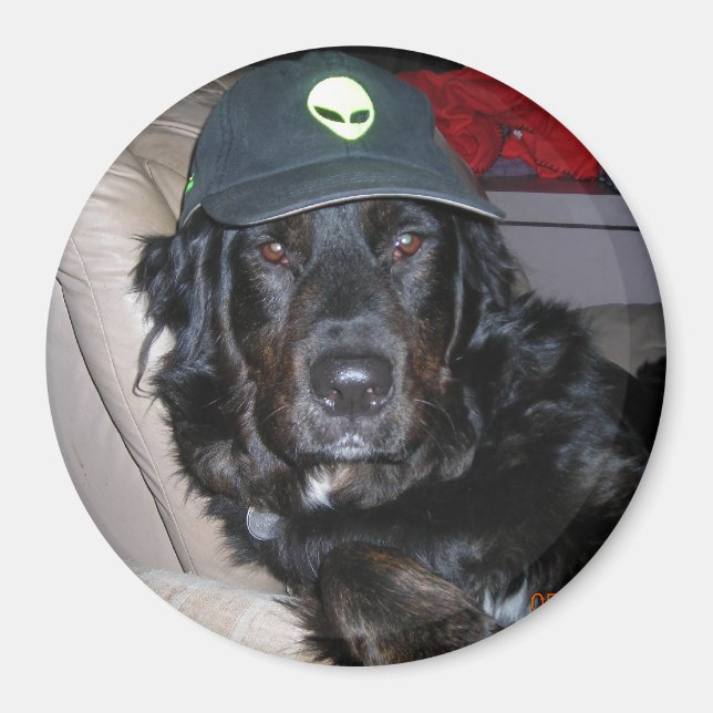 ÍMAN TESTE O CÃO DA ALIENÍGENA (Frente)