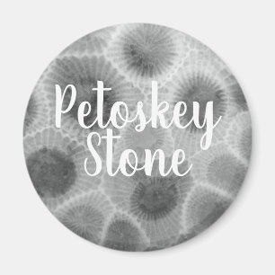 Íman Teste padrão de pedra de Petoskey