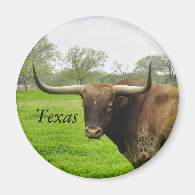 Íman Texas Longhorn Round Magnet (Frente)