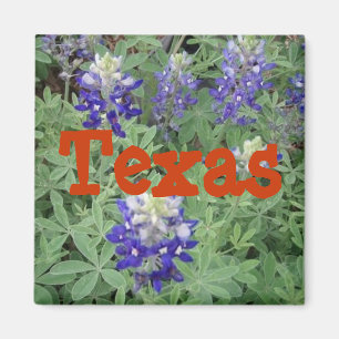 Íman Texas Magnet