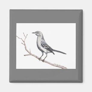 Íman Texas Mockingbird Magnet