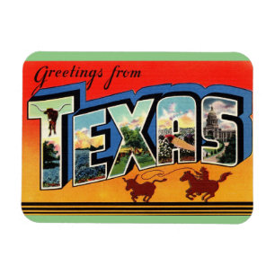 Íman Texas State Magnet