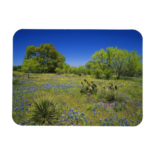 Íman Texas, Texas Hill Country, Vesícula baixa, (Horizontal)