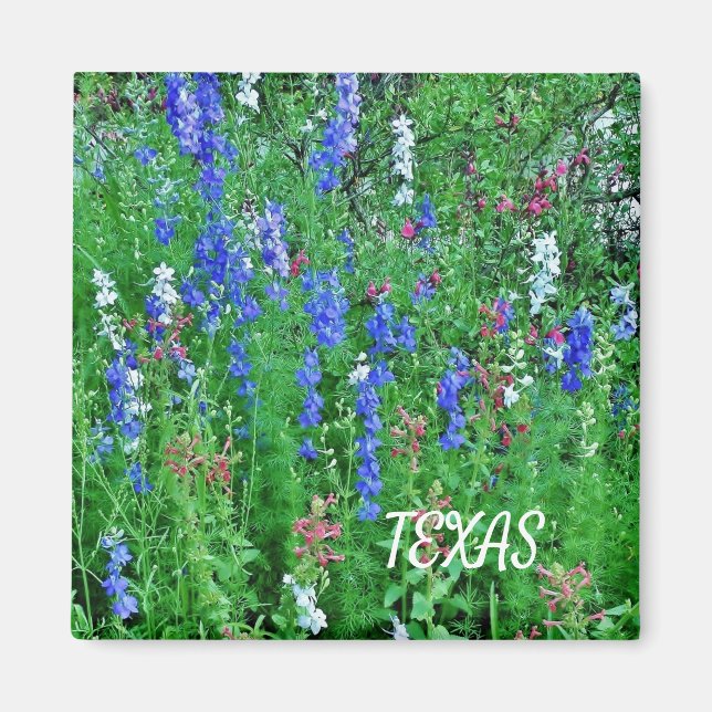 Íman Texas Wildflower Magnet (Frente)