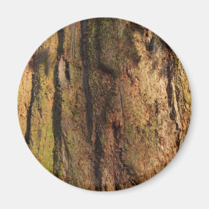 Íman Textura de fotos do Latido Redwood