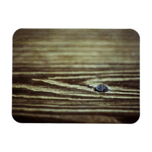 Íman Textura de grãos de madeira por Shirley Taylor