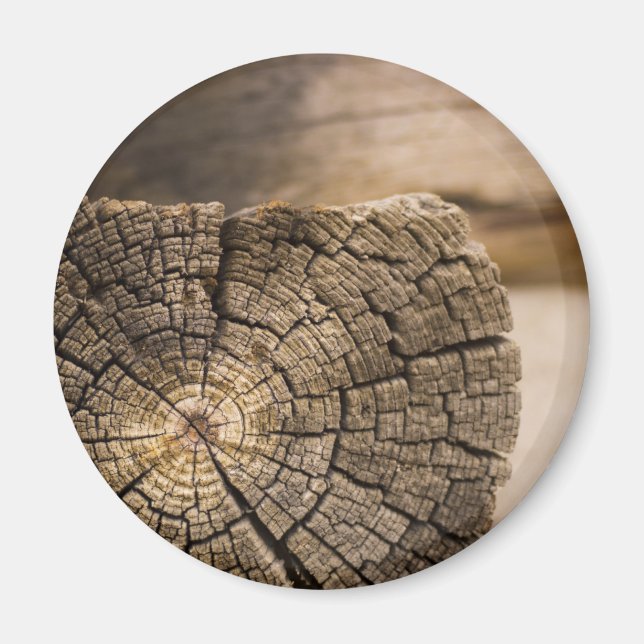 Íman Texturas de Cabina Antigas (Frente)