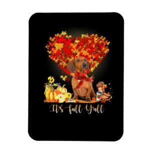 Íman Thanksgiving It's Fall Y'all Dachshund