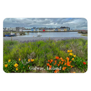 Íman The Claddagh (Galway Bay) em Galway, Irlanda