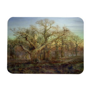 Íman The Edge da floresta de Sherwood, 1878
