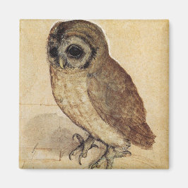Íman The Little Owl (por Albrecht Durer)