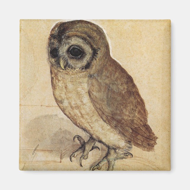 Íman The Little Owl (por Albrecht Durer) (Frente)
