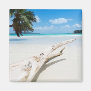 Íman The Tropical Paradise that is The Seychelles