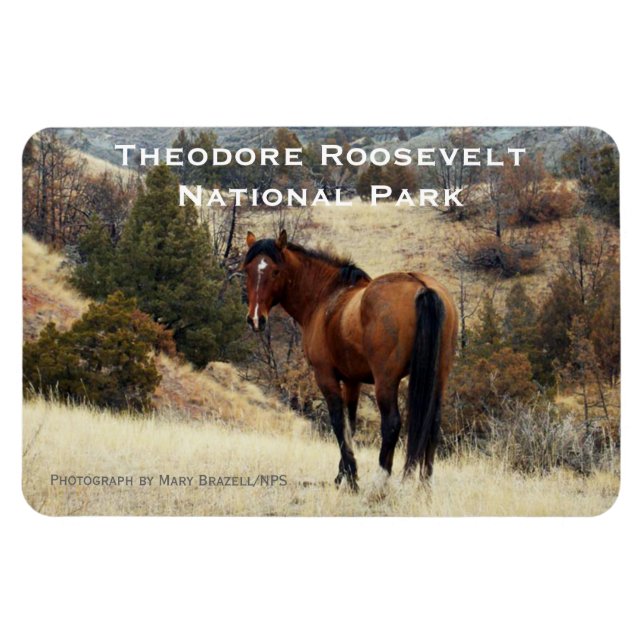 Íman Theodore Roosevelt NP Souvenir Magnet (Horizontal)