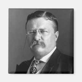 Íman Theodore Roosevelt Presidente Ursinho Republicano