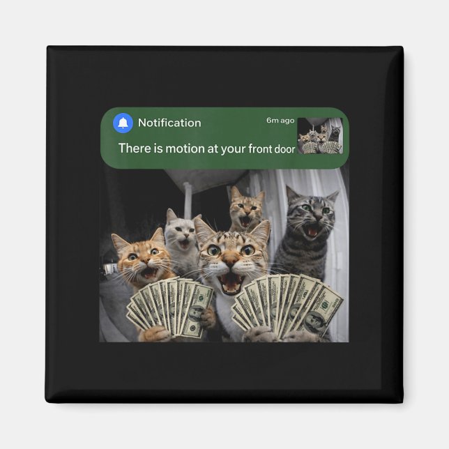 Íman There is motion at front door funny cat motion mem (Frente)