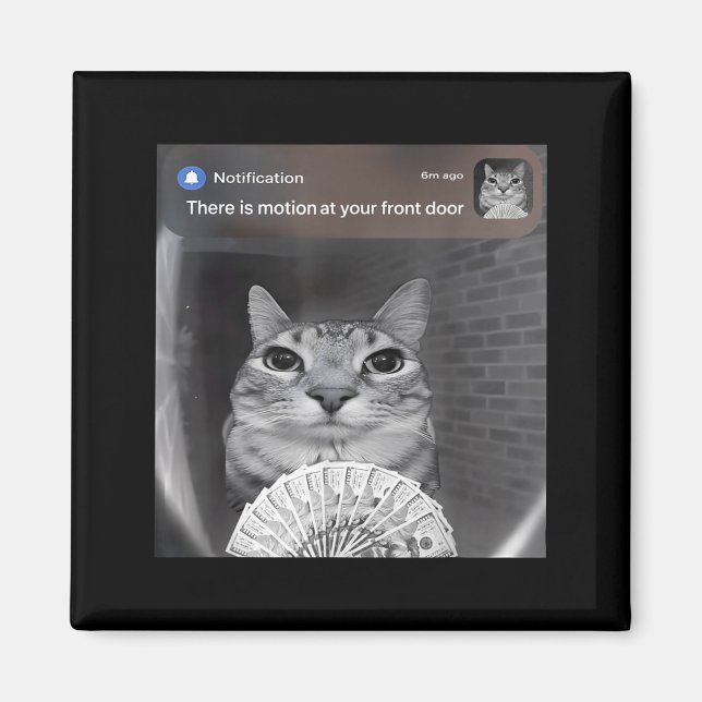 Íman There Is Motion At Your Front Door Funny Cat Motio (Frente)