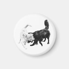 Íman This Is How We Play