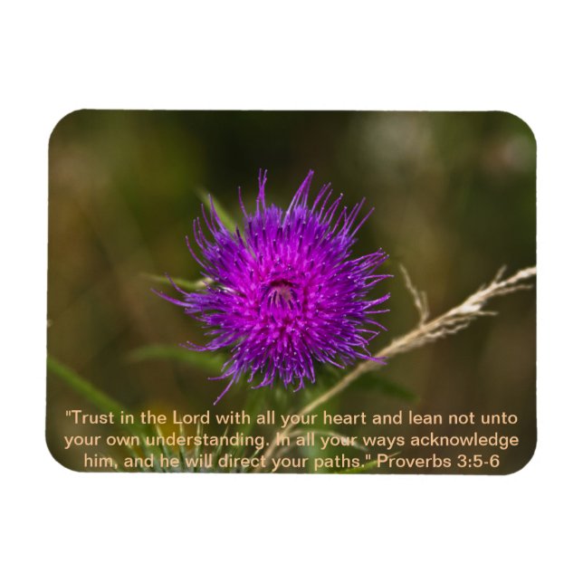 Íman Thistle Magnet c/Scripting Verse (Horizontal)