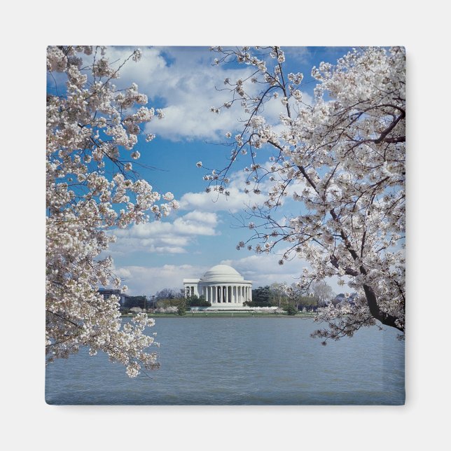 Íman Thomas Jefferson Memorial com Cherry Blossoms (Frente)