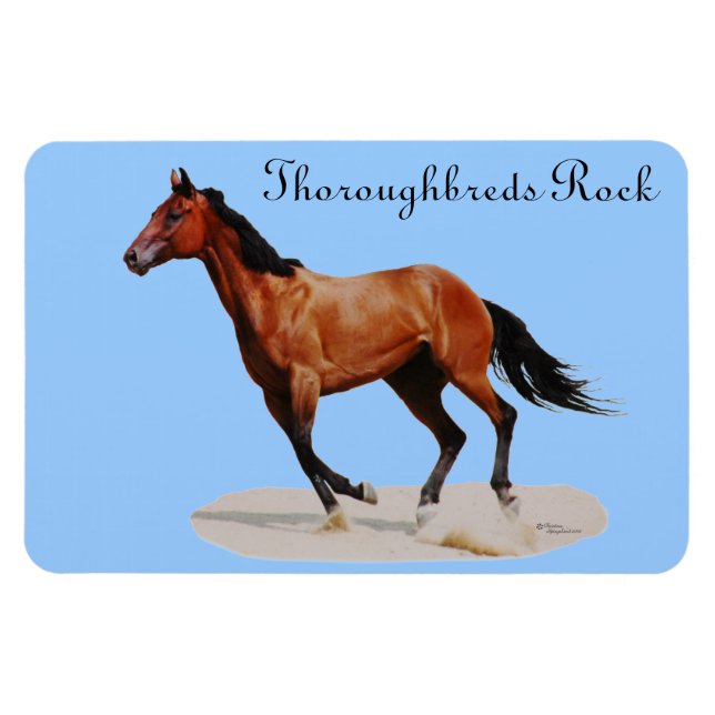 Íman Thoroughbreds Rock Premium Magnet (Horizontal)