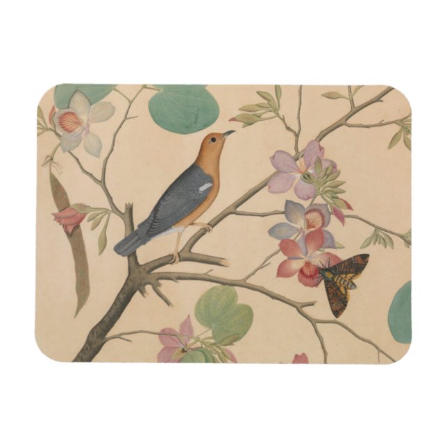 Íman Thrush e Moth no chão das orquídeas (Horizontal)