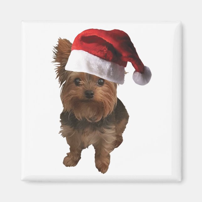 Íman thumbnail_Santa Hat Yorkie (Frente)