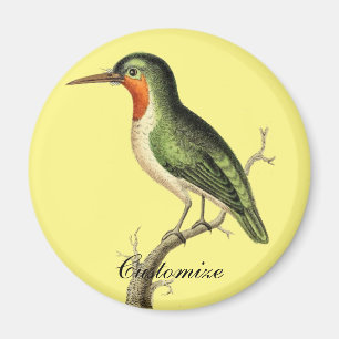 Íman Thunder_Cove do Sol Bastante