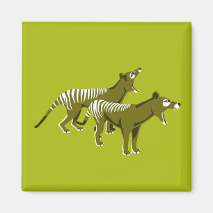 Íman Thylacine