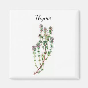 Íman Thyme Herb Magnet